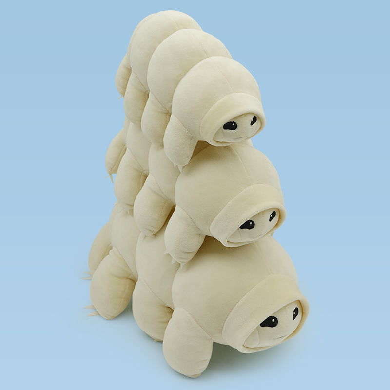 ��Ʒ���ƣ�ˮ�ܳ�ë����߿羳��ƷTardigrade water bear����ˮ�ܳ湫��